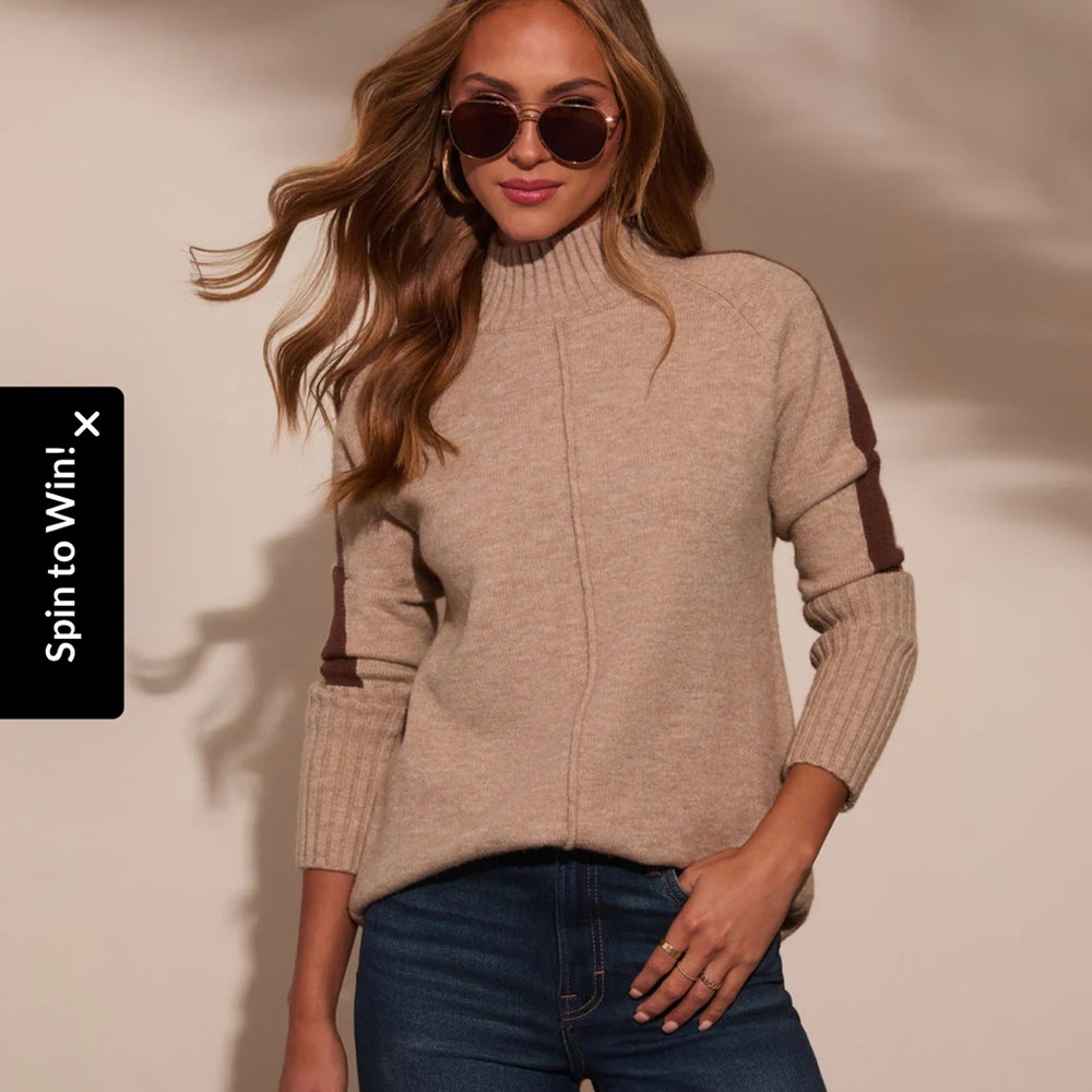 Vici Turtleneck Tunic Sweater
